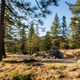Image for article titled 2020 Audi A6 Allroad Carves Out A Softer Niche